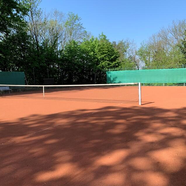 Tennisplatz mit rotem Sand, Netz in der Mitte und umgebenden B&auml;umen im Hintergrund unter klarem blauen Himmel.