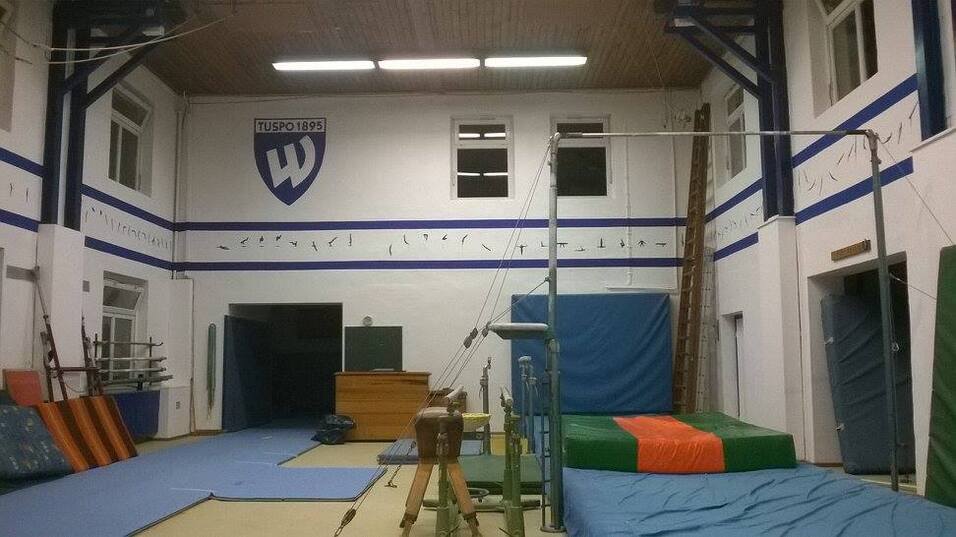 Turnhalle mit Ger&auml;ten, Matten und blauen W&auml;nden; im Hintergrund das Vereinswappen und Barren zur rechten Seite.