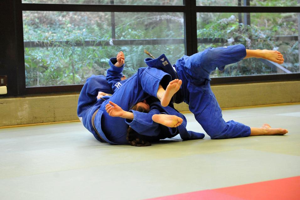 Zwei Judoka in blauer Judokleidung üben einen Bodenkampf auf einer tatami in einem lichtdurchfluteten Raum.